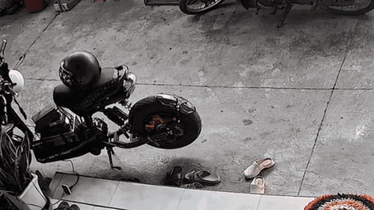 f6c5839ad1d1388f61c0.gif.jpg