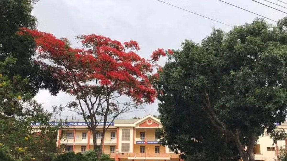 Thông tin thí sinh tại Đắk Lắk dùng điện thoại giải đề thi là sai sự thật - Chuyên trang Sinh viên Việt Nam - Báo Tiền Phong