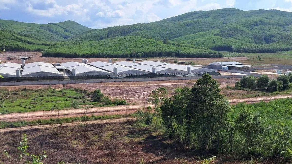 Người dân vẫn bức xúc vì mùi hôi từ Trang trại chăn nuôi heo Minh Phúc - Báo Công An Nhân Dân