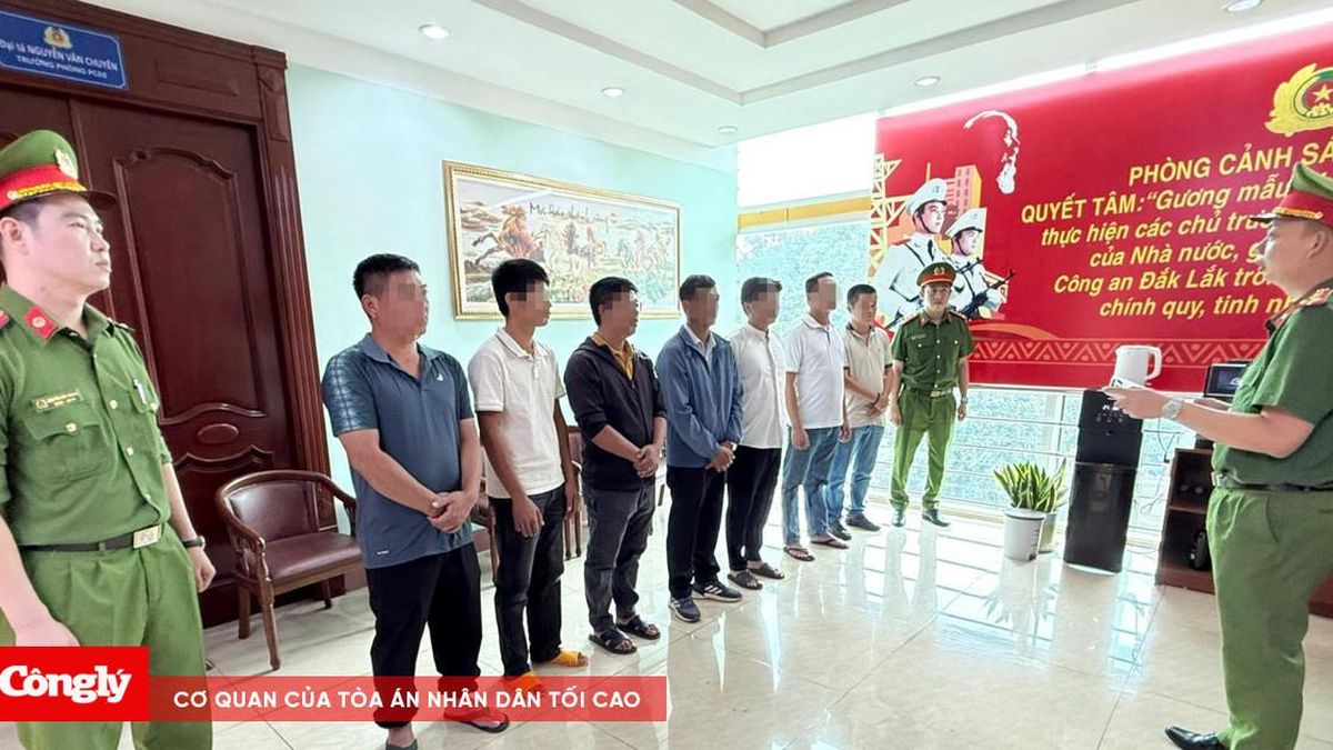 Khởi tố 8 người trong vụ hối lộ kiểm dịch động vật - Báo Công Lý