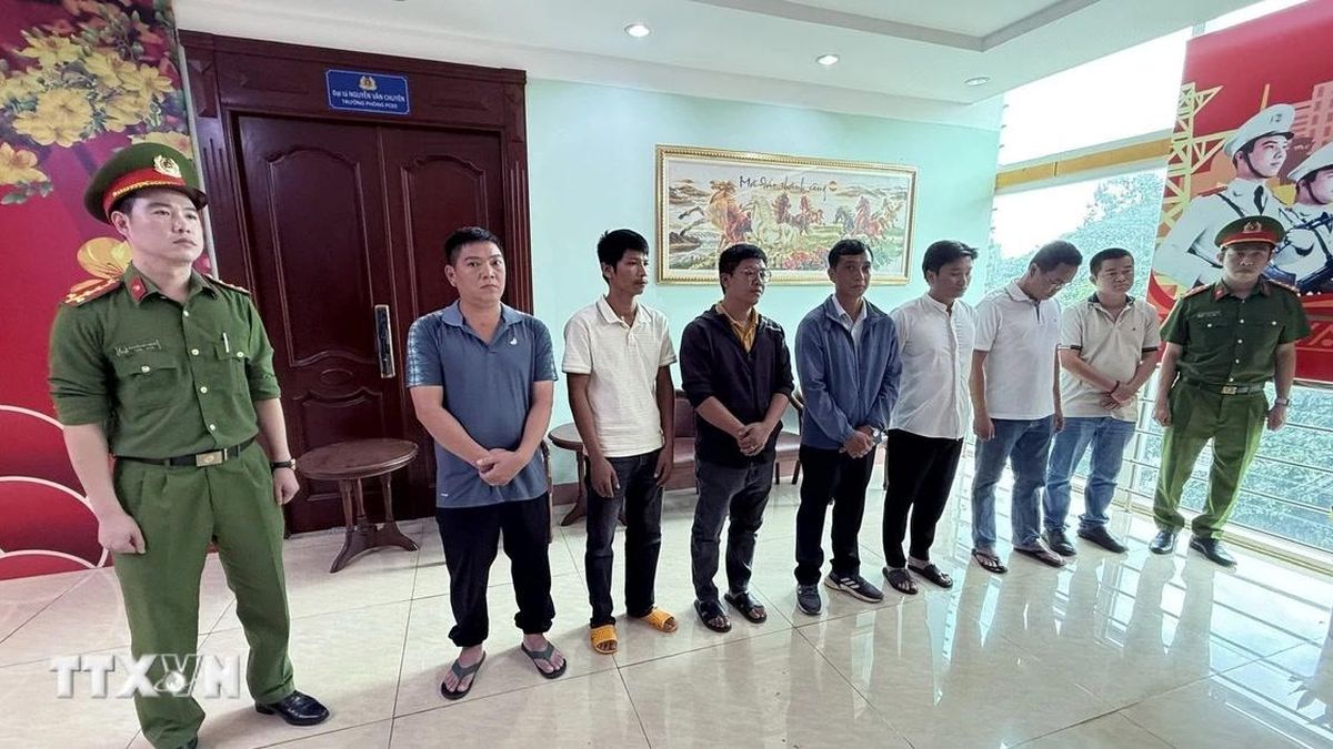 Đắk Lắk khởi tố 8 đối tượng đưa, nhận hối lộ trong kiểm dịch động vật - Báo VietnamPlus