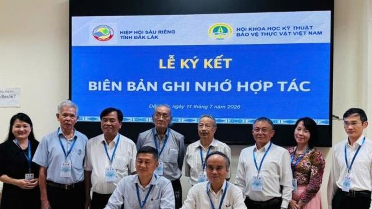 Đắk Lắk thúc đẩy nghiên cứu, chuyển giao công nghệ ngành sầu riêng phát triển bền vững - Nông nghiệp Hữu cơ Việt Nam