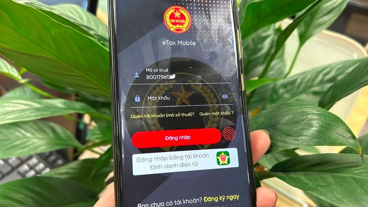 Hướng dẫn hộ kinh doanh 3 cách tra cứu nợ thuế năm 2026 - Báo VietnamNet