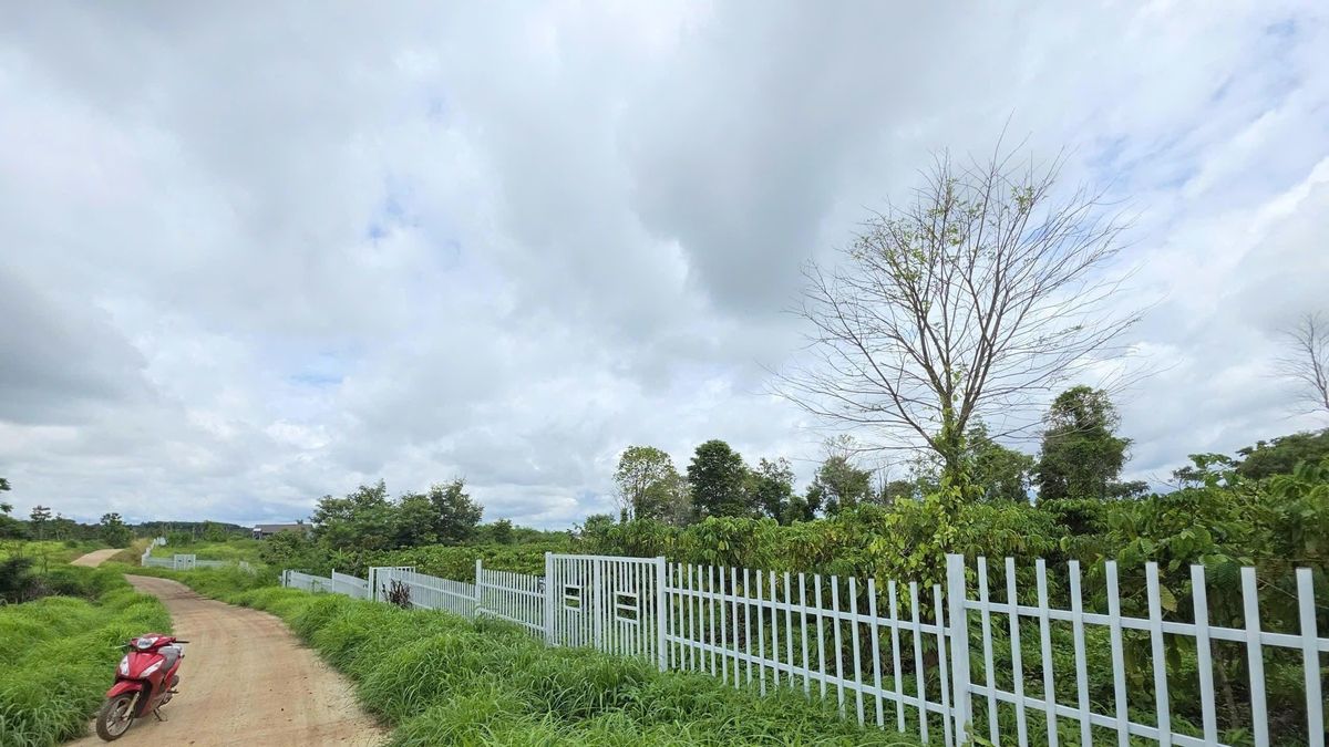 Đắk Lắk xác minh hoạt động môi giới tại khu đất tự xưng 'Làng An Yên 38 hộ dân' - Báo VTC News