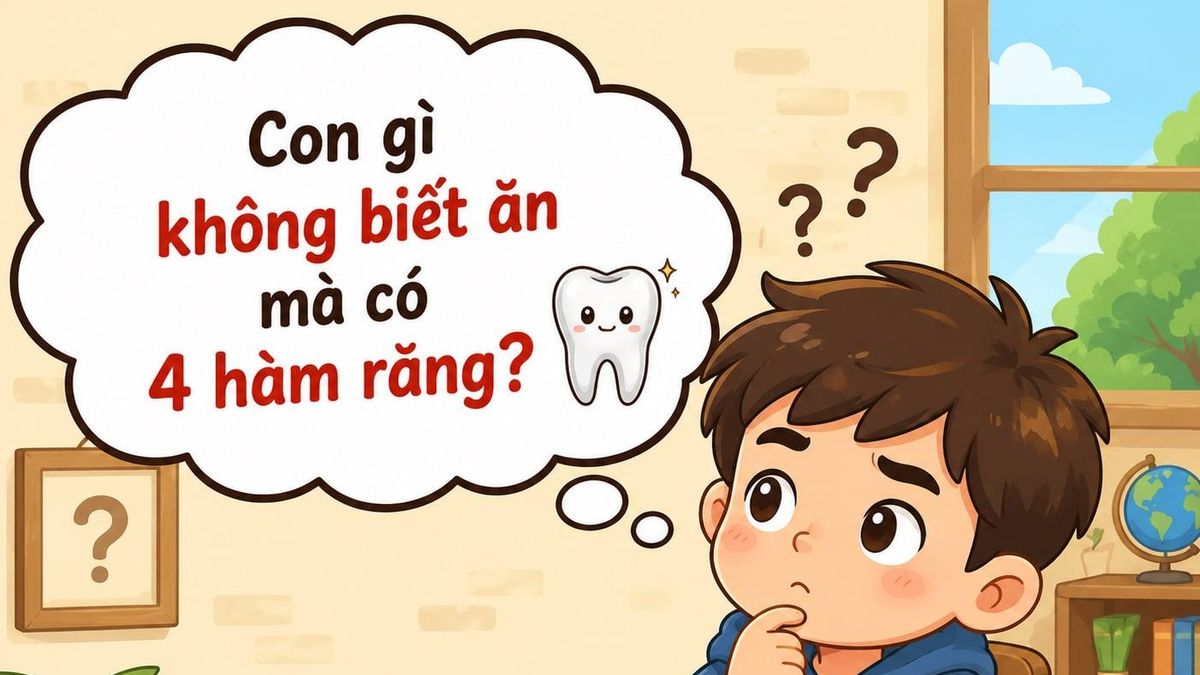 Разгадка загадки о предмете с четырьмя «зубами», который не ест