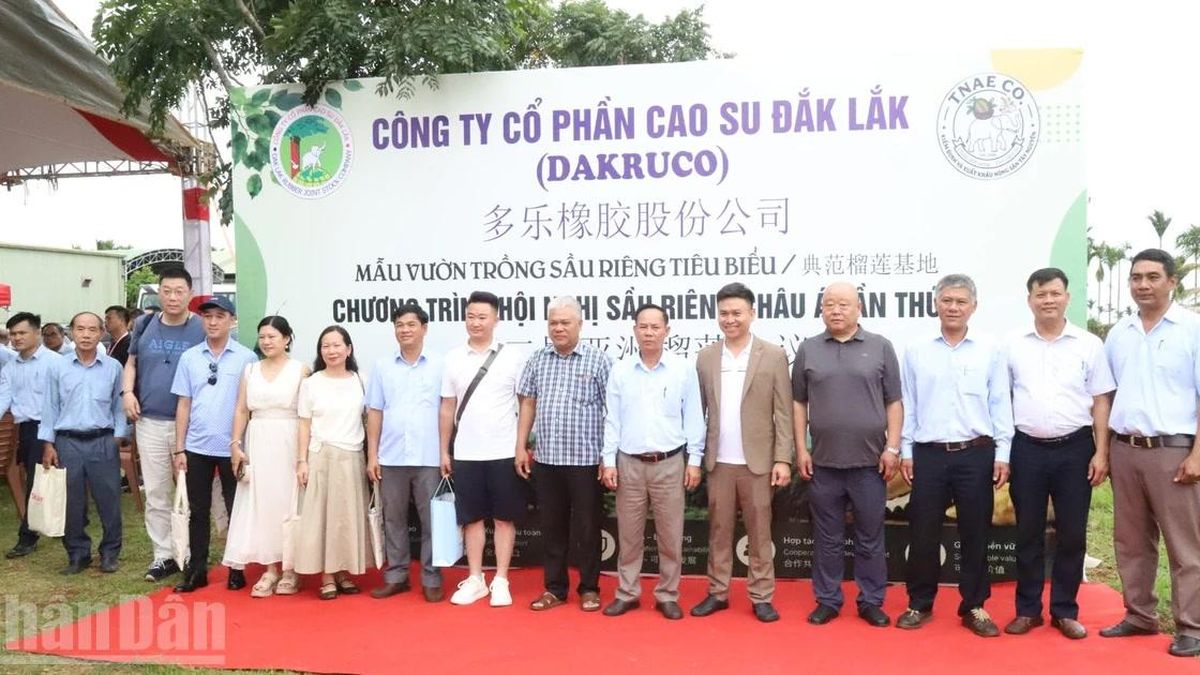Rộn ràng cảnh tham quan, trải nghiệm vườn sầu riêng trước thềm Lễ hội Sầu riêng Đắk Lắk 2026 - Báo Nhân Dân