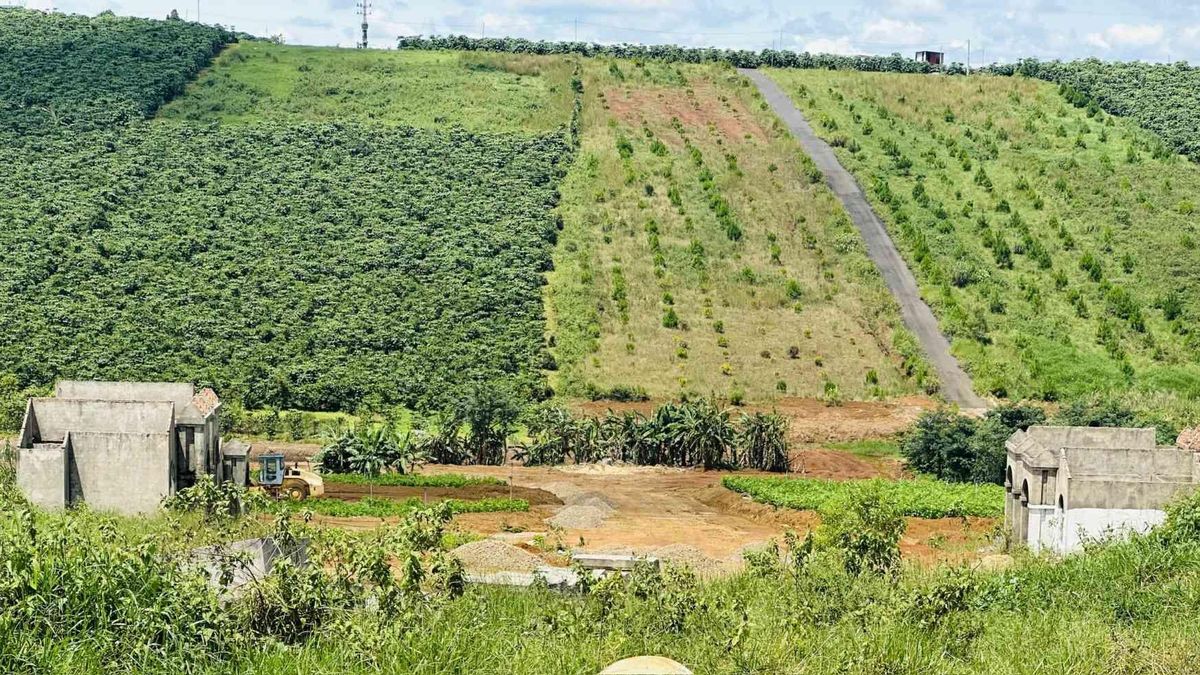 Lâm Đồng thúc đẩy ESG: Chìa khóa vàng nâng tầm cạnh tranh cho ngành cà phê - Tạp chí Kinh tế Môi trường