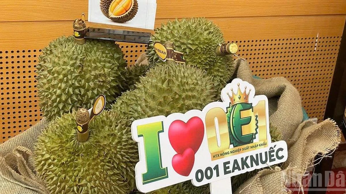 Công bố Lễ hội Sầu riêng Đắk Lắk - Báo Nhân Dân