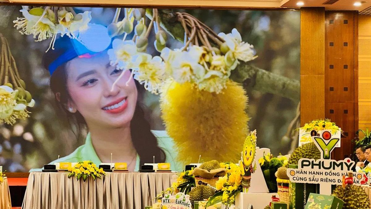 Lễ hội Sầu riêng Đắk Lắk 2026: Quảng bá điểm đến kết nối khu vực Tây Nguyên - Báo VietnamPlus