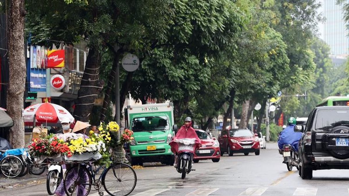 Thời tiết ngày 20/7: Bắc Bộ có nơi mưa rất to, cảnh báo lốc sét và gió giật mạnh - Báo Tin Tức TTXVN