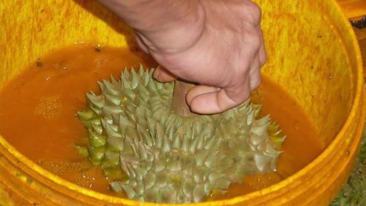 'Phá' kho thuốc nhúng quả sầu riêng nhập lậu trị giá hơn 4,5 tỷ đồng - Báo Giáo Dục & Thời Đại