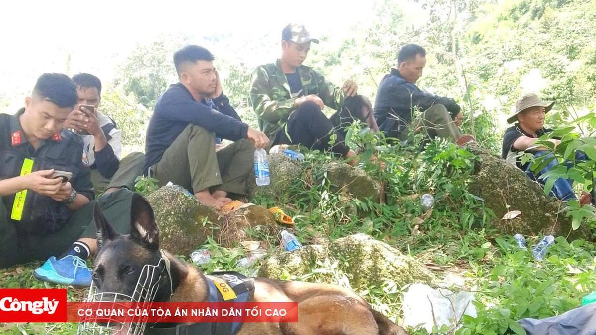 Hơn 100 người tìm cháu trai khuyết tật mất tích nhiều ngày - Báo Công Lý