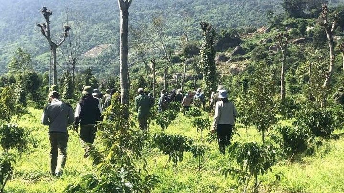 Huy động hàng trăm người và chó nghiệp vụ tìm kiếm thiếu niên 15 tuổi mất tích - Báo VietnamNet
