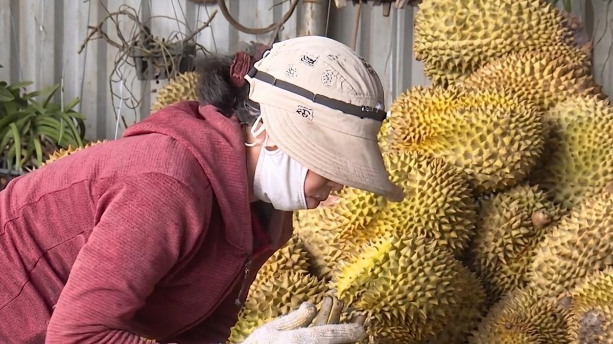 Đẩy mạnh truyền thông đa phương tiện về đổi mới sáng tạo, khởi nghiệp sáng tạo - Báo VietnamNet