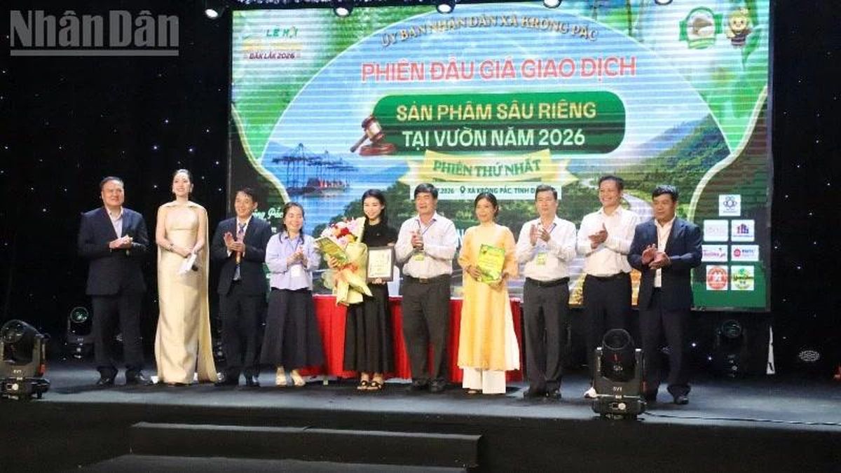 Lô sầu riêng đấu giá đầu tiên tại vườn ở Đắk Lắk trị giá gần 24 tỷ đồng - Báo Nhân Dân