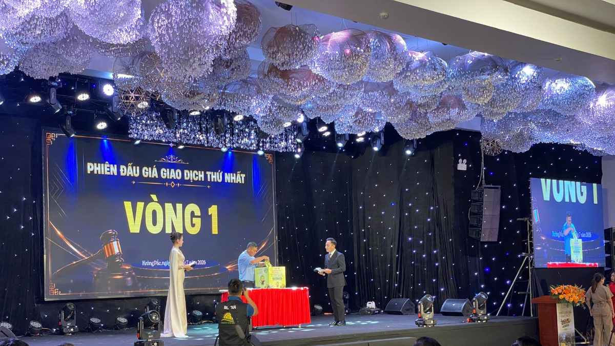 Xã Krông Pắc (Đắk Lắk) đấu giá thành công lô sầu riêng trị giá gần 24 tỷ đồng - Báo Quân Đội Nhân Dân