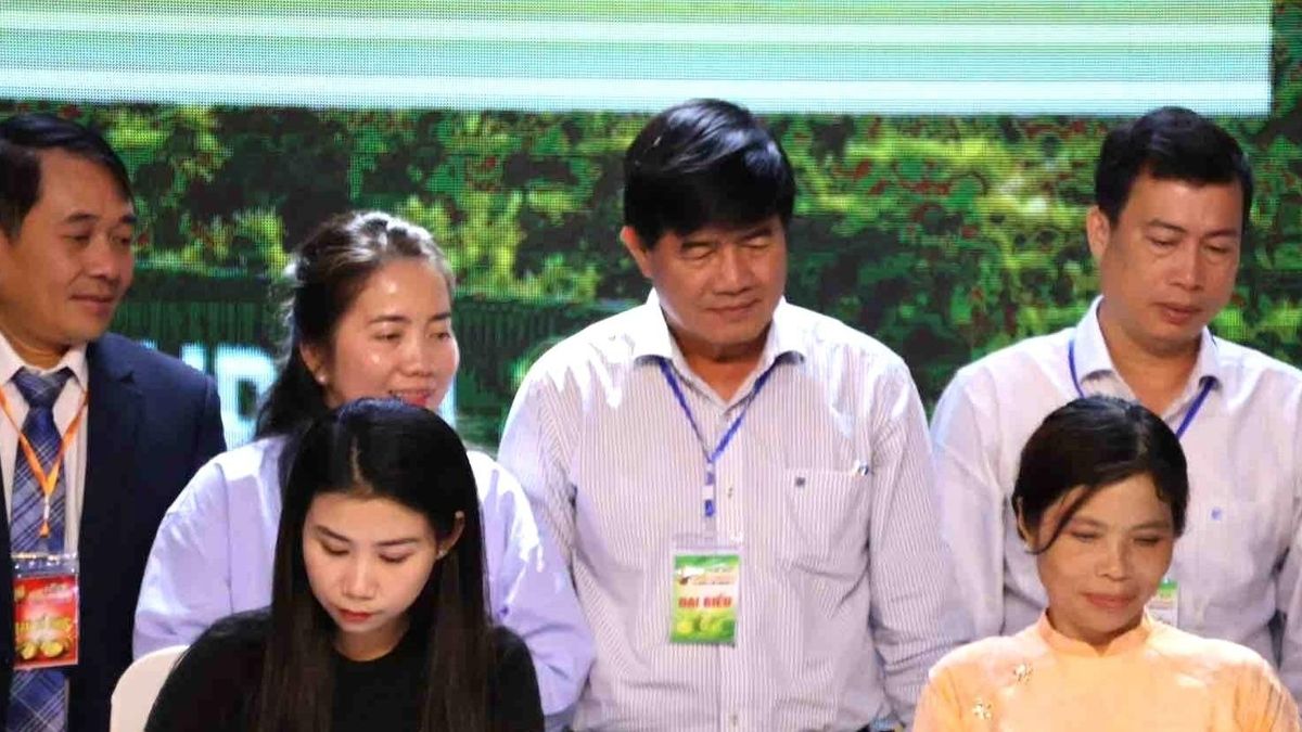 Một doanh nghiệp ở Đắk Lắk chi 23,8 tỷ đồng mua 350 tấn sầu riêng - Báo VietnamNet