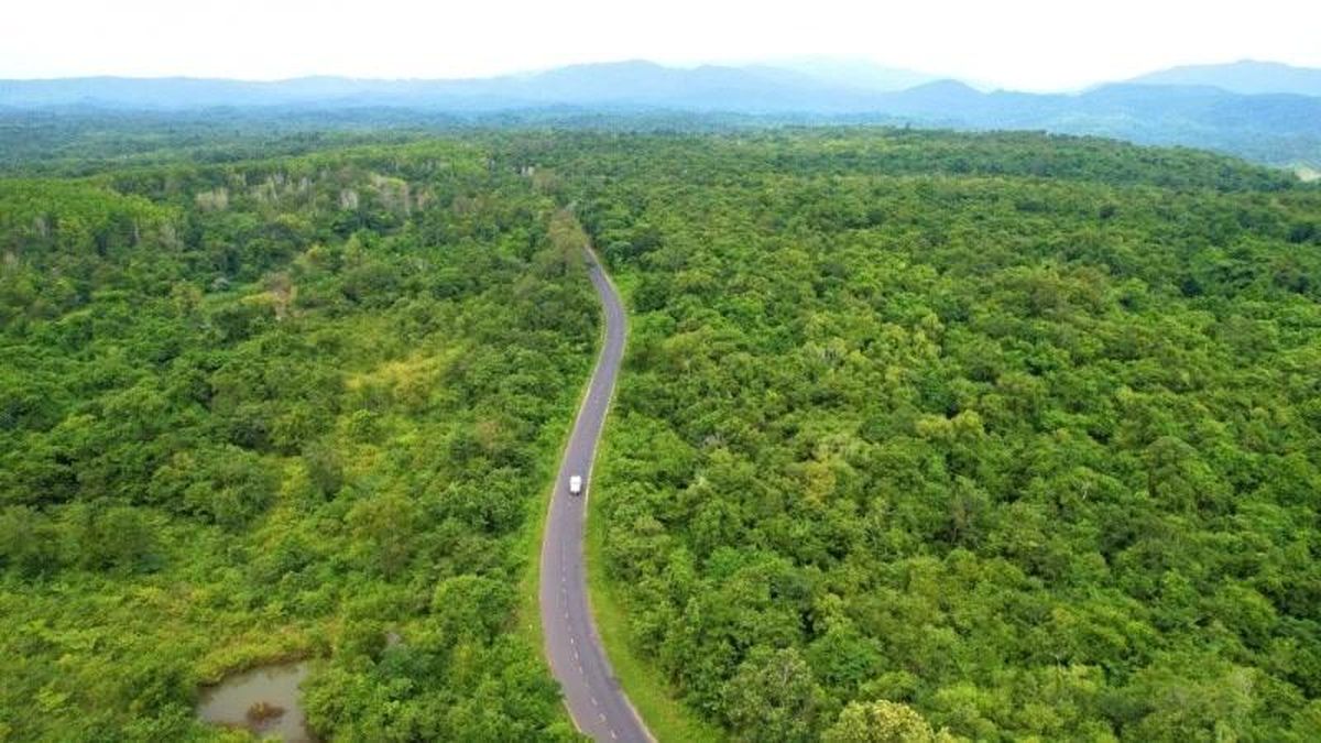 Thành lập Vườn Quốc gia Ea Sô - Báo Nhân Dân