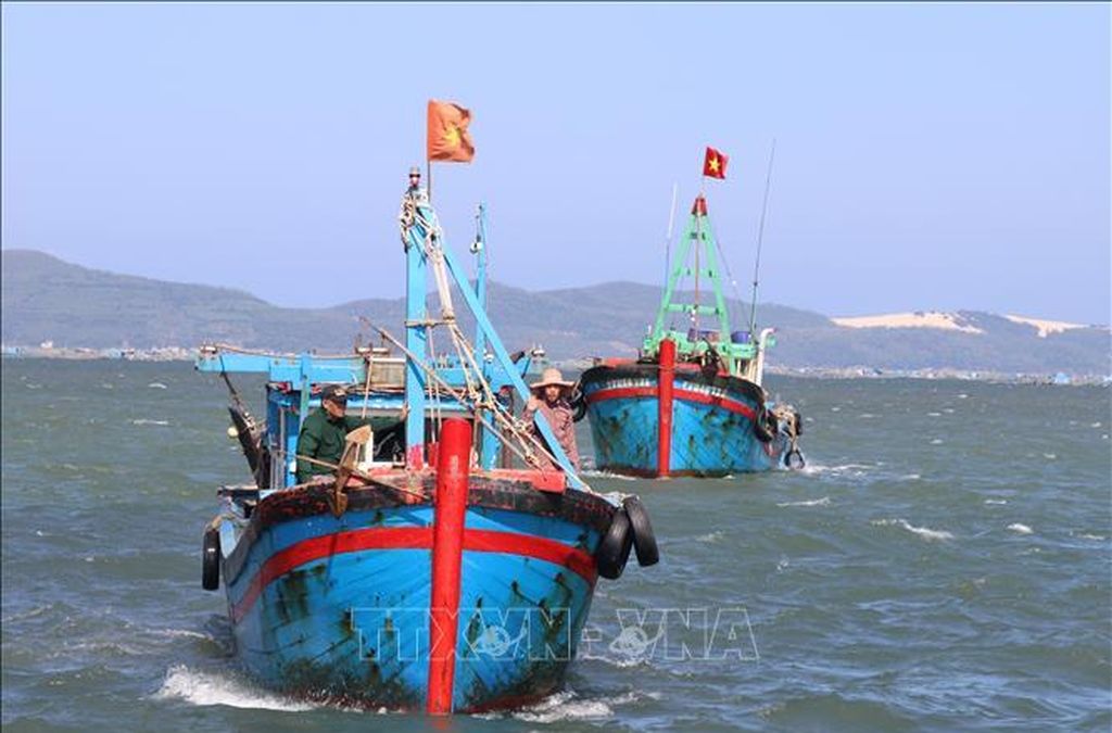 Đa dạng hình thức tuyên truyền ngư dân cùng chung tay gỡ 'thẻ vàng' IUU - Báo Tin Tức TTXVN