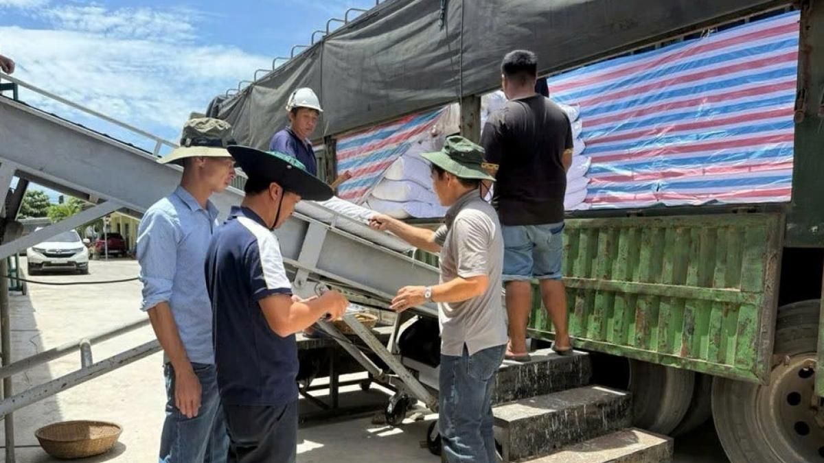 'Tích cốc phòng cơ' cho đại ngàn Tây Nguyên và Nam Trung Bộ - Thời báo Tài chính