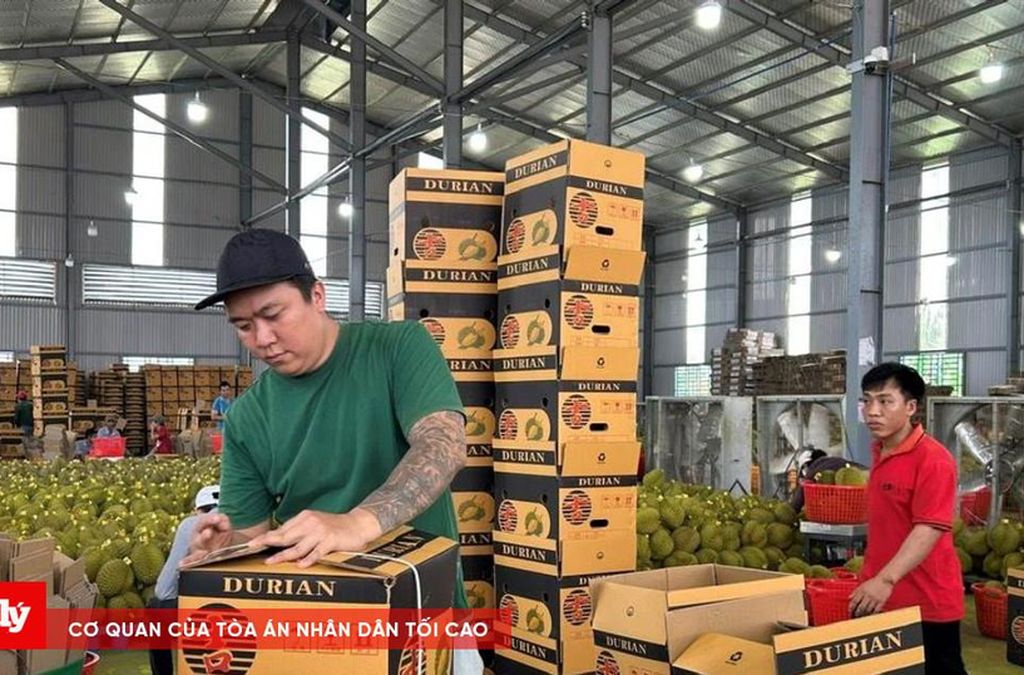Chủ tịch Đắk Lắk: Phải mời KOL Trung Quốc dự lễ hội sầu riêng - Báo Công Lý