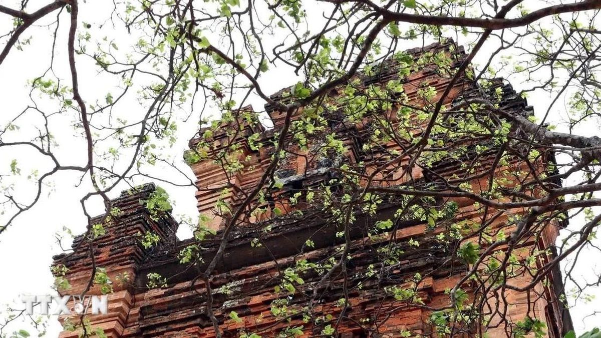 Tháp Nhạn Đắk Lắk - Tháp cổ cất giữ nền văn hóa Chăm đặc sắc - Báo VietnamPlus