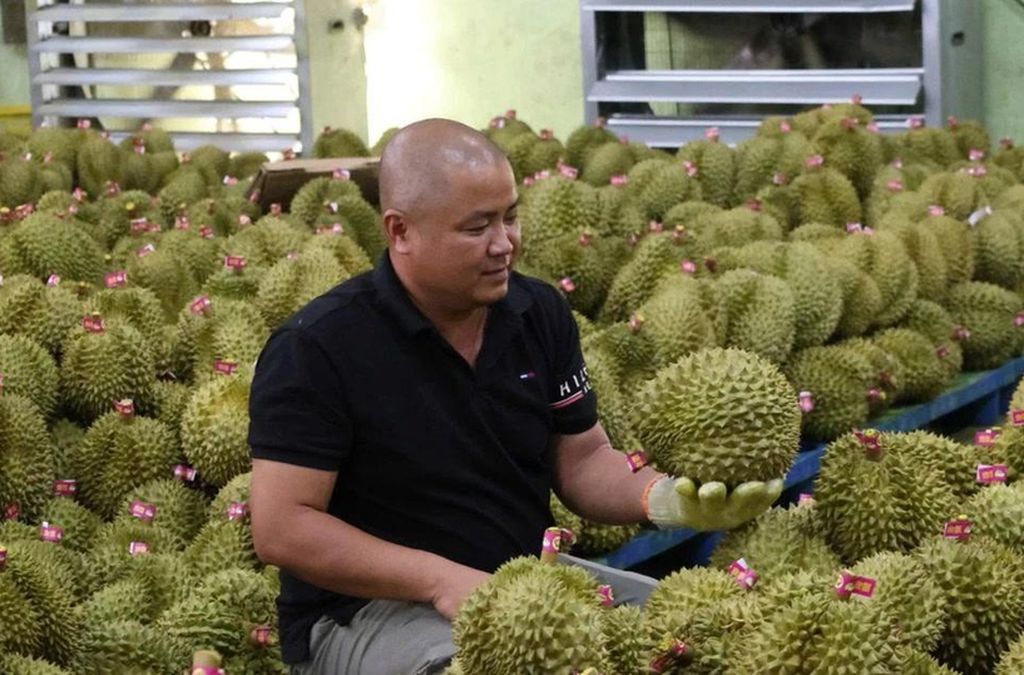 Để nông sản tỷ đô không vỡ trận xuất khẩu: Gian nan tìm 'hộ chiếu' - Báo Tiền Phong