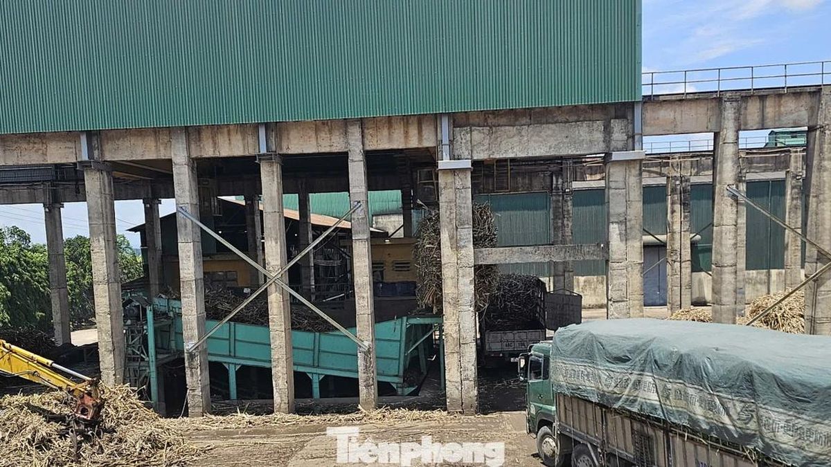 Công ty Cổ phần Mía đường 333 bị phạt 1,5 tỷ đồng - Báo Tiền Phong