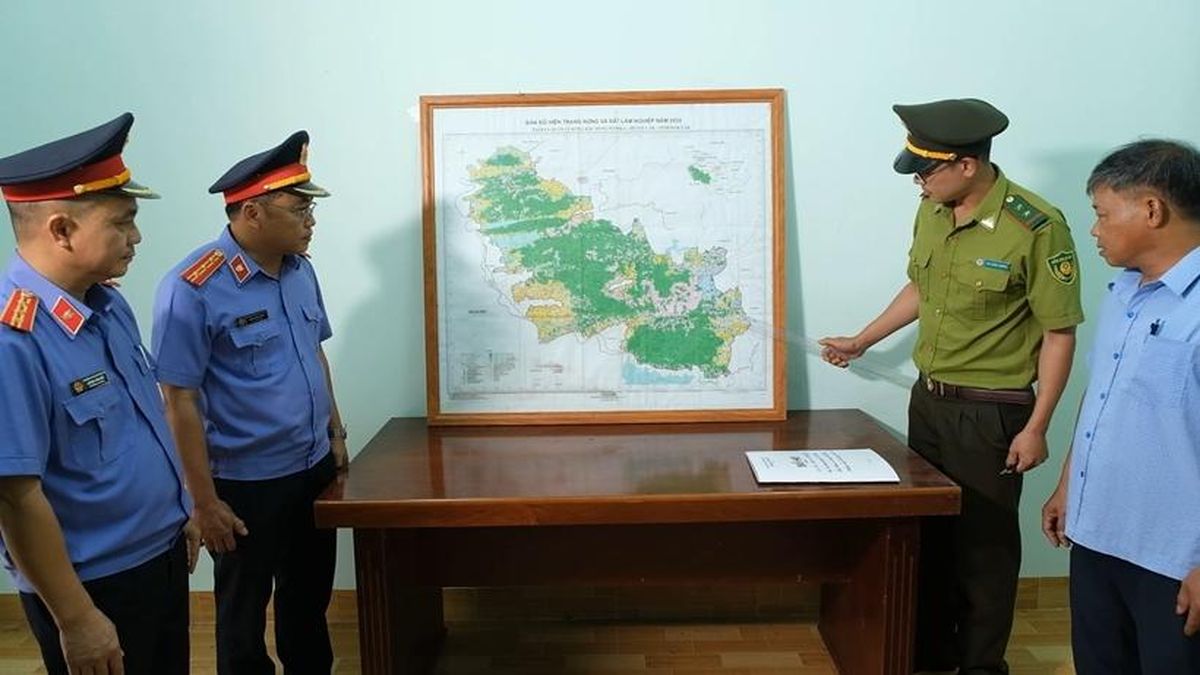 Chương trình Hồ sơ công tố - Kiểm sát: Lá chắn bảo vệ rừng - Báo Bảo Vệ Pháp Luật