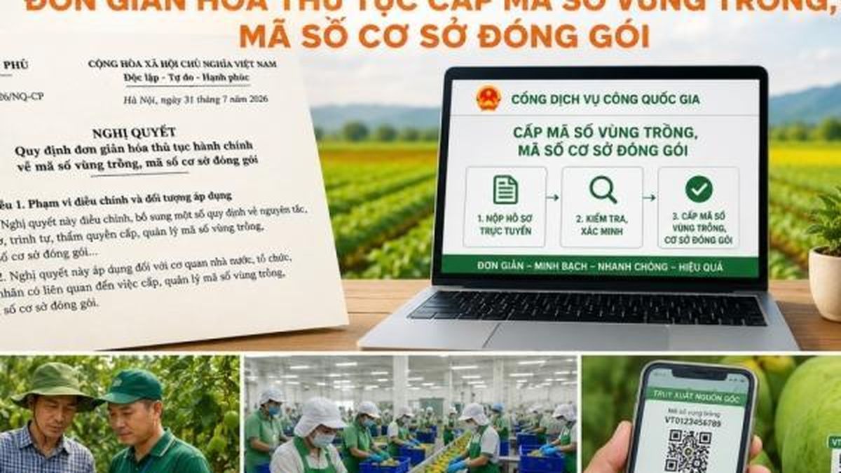 Đắk Lắk đơn giản hóa cho các thủ tục trong cấp mã số vùng trồng, cơ sở đóng gói nông sản - Nông nghiệp Hữu cơ Việt Nam