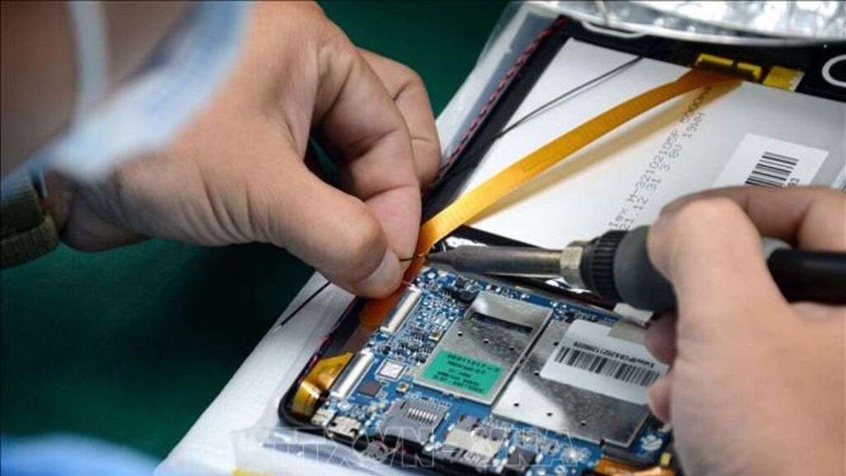 Japanese Expert: Vietnam Should Prioritize Semiconductor Chip Production and Packaging