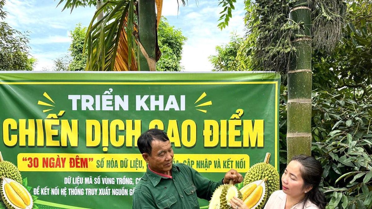 '30 ngày đêm' số hóa dữ liệu, bảo vệ thương hiệu sầu riêng Đắk Lắk - Đại Biểu Nhân Dân