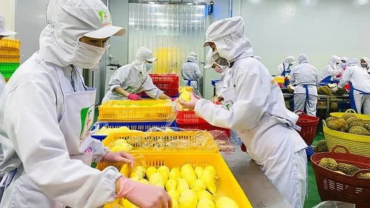 Đắk Lắk đào tạo nhân lực từ yêu cầu thực tiễn - Báo Giáo Dục & Thời Đại