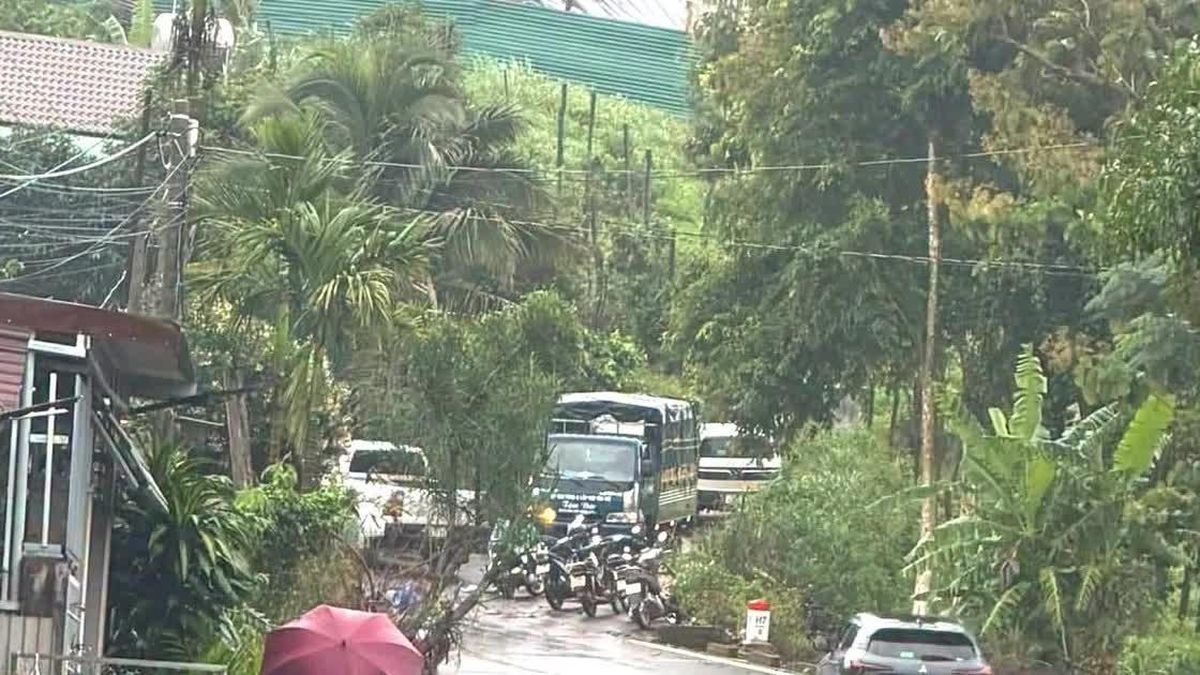 Nữ nhân viên thư viện mất liên lạc sau buổi liên hoan: Phát hiện thi thể ở rẫy cà phê - Báo Tiền Phong