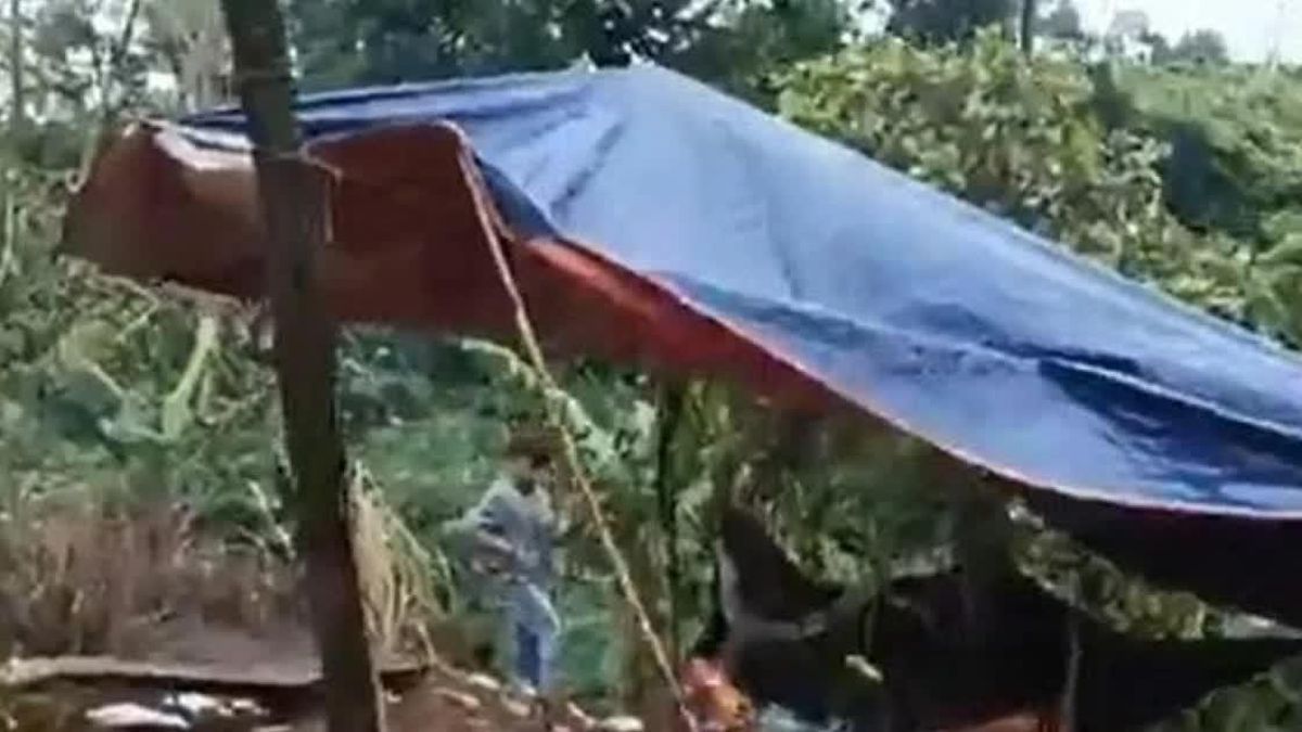 Nam giáo viên khai quá trình sát hại, phi tang thi thể nữ nhân viên thư viện cùng trường - Báo Tiền Phong
