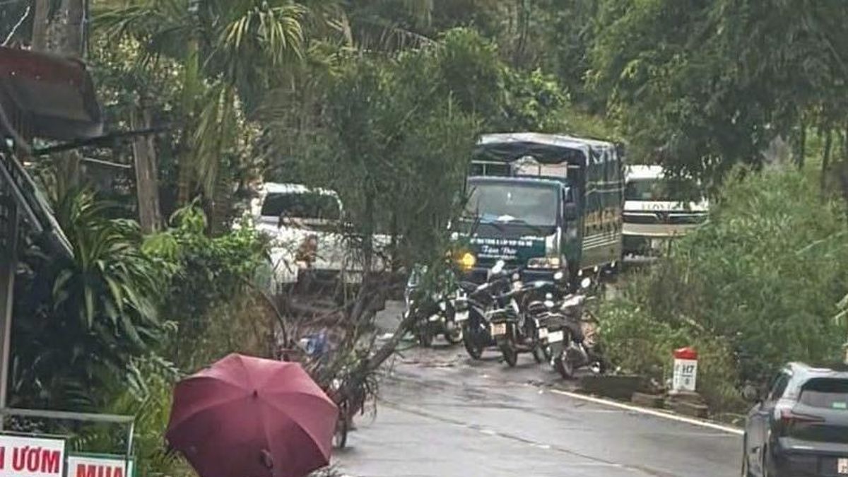 Vụ nữ nhân viên thư viện tử vong: Công an xác định nghi phạm là đồng nghiệp - Báo VietnamNet