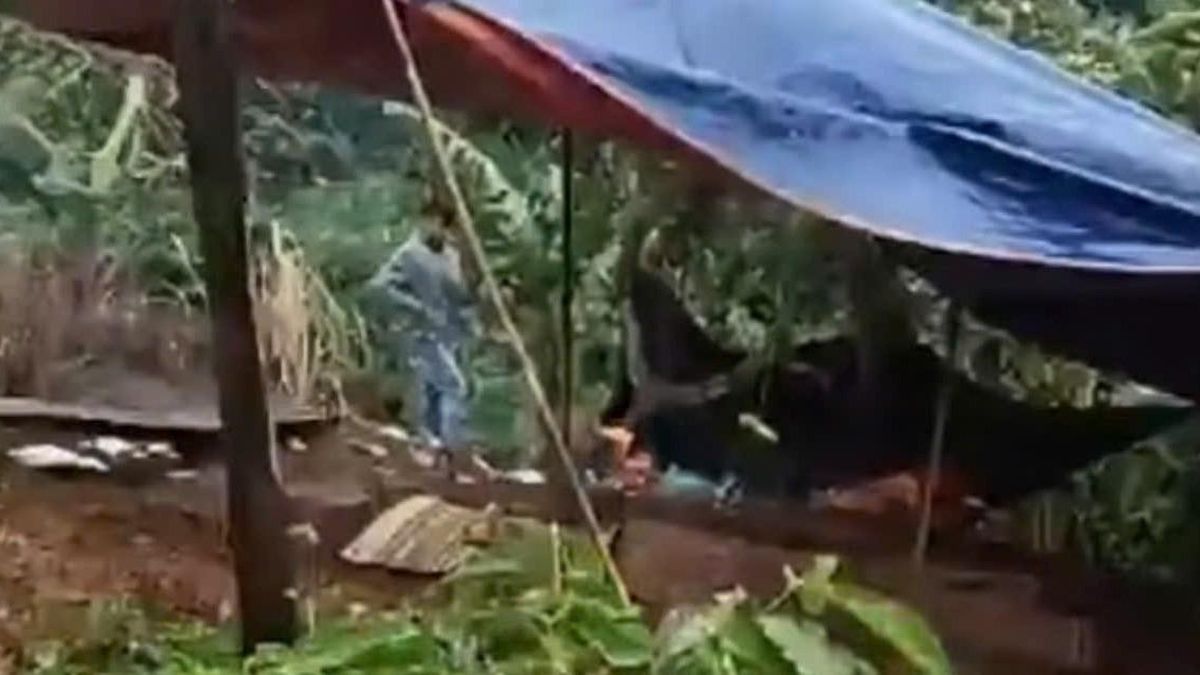 Hiệu trưởng nói gì về nghi phạm sát hại nữ nhân viên thư viện? - Báo VietnamNet