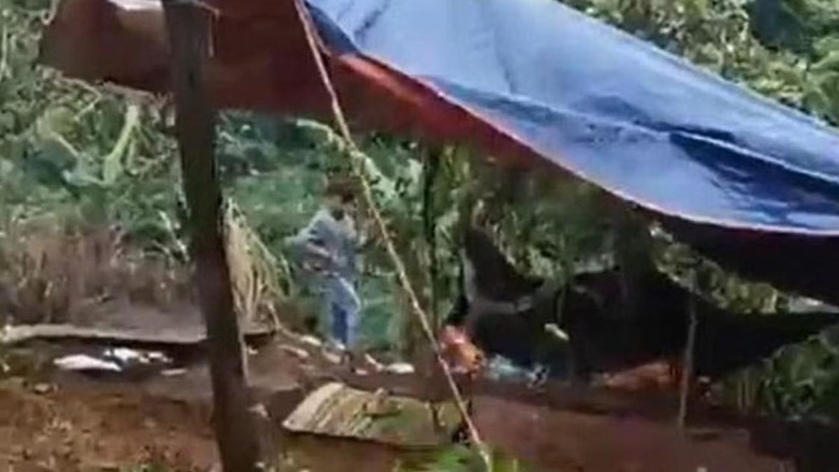 Vụ nhân viên thư viện trường tiểu học tử vong: Bất ngờ danh tính hung thủ - Tạp chí Người Đưa Tin