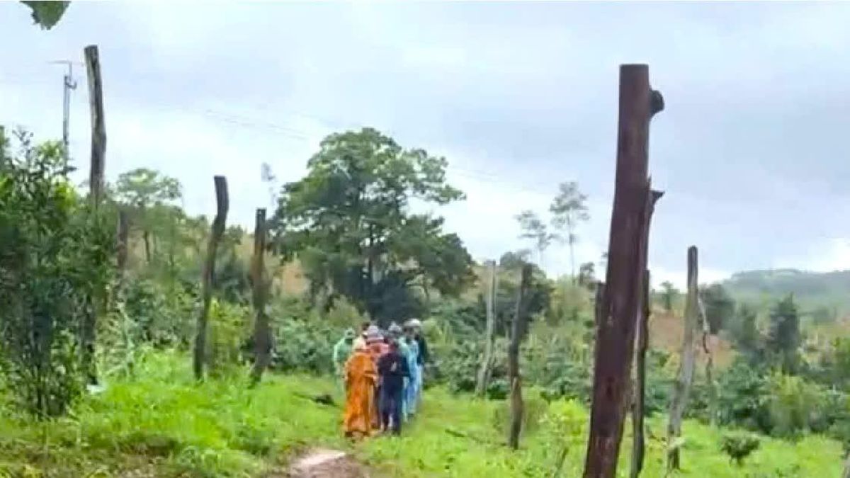 Vụ phát hiện thi thể nữ nhân viên thư viện: Nghi phạm là nam đồng nghiệp - Báo Công An Nhân Dân