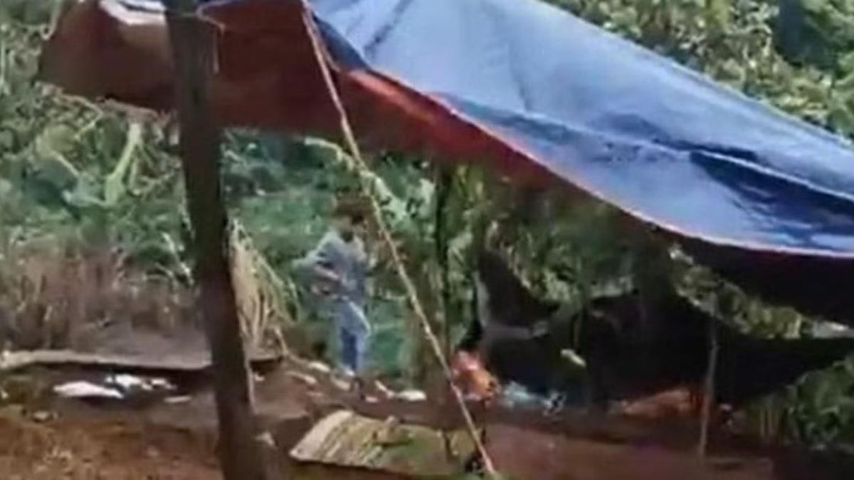 Xác định nghi phạm sát hại nữ nhân viên thư viện trường học ở Đắk Lắk - Chuyên trang Gia Đình & Xã Hội - Báo Sức khỏe & Đời sống