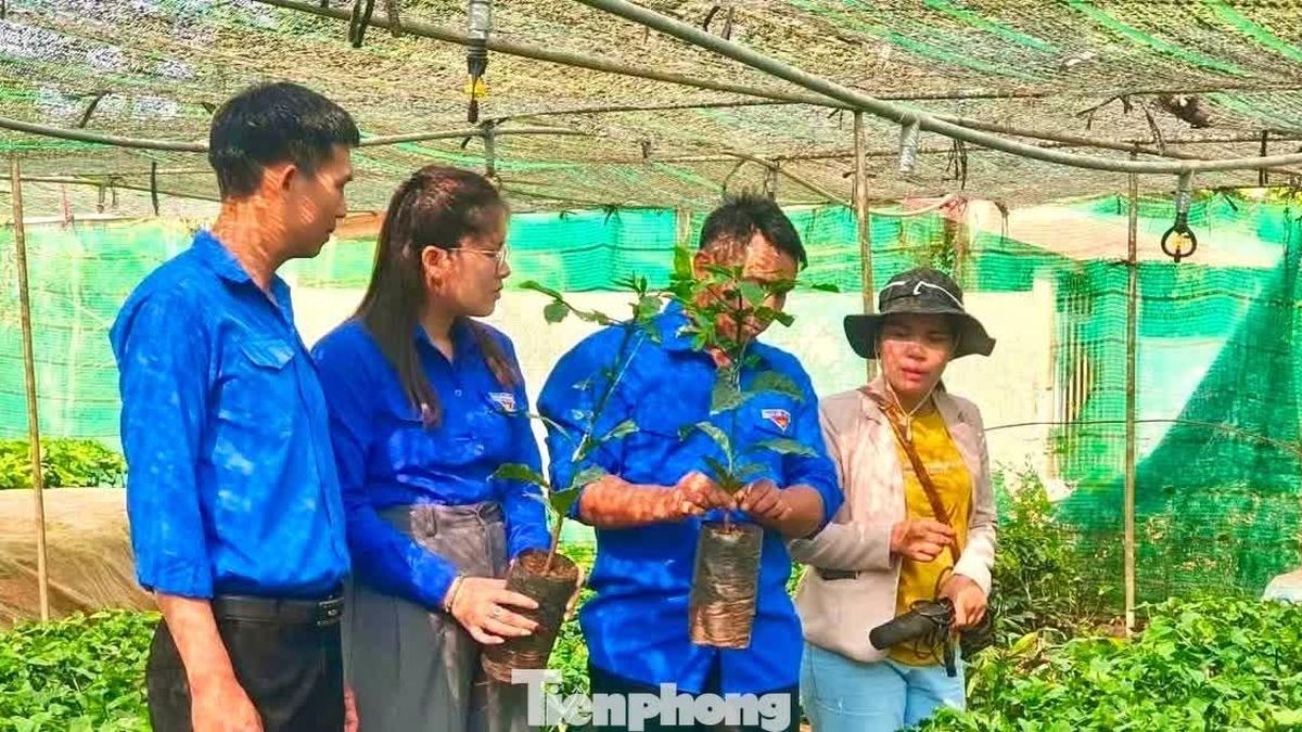 Thủ lĩnh đoàn thắp sáng giấc mơ khởi nghiệp - Báo Tiền Phong