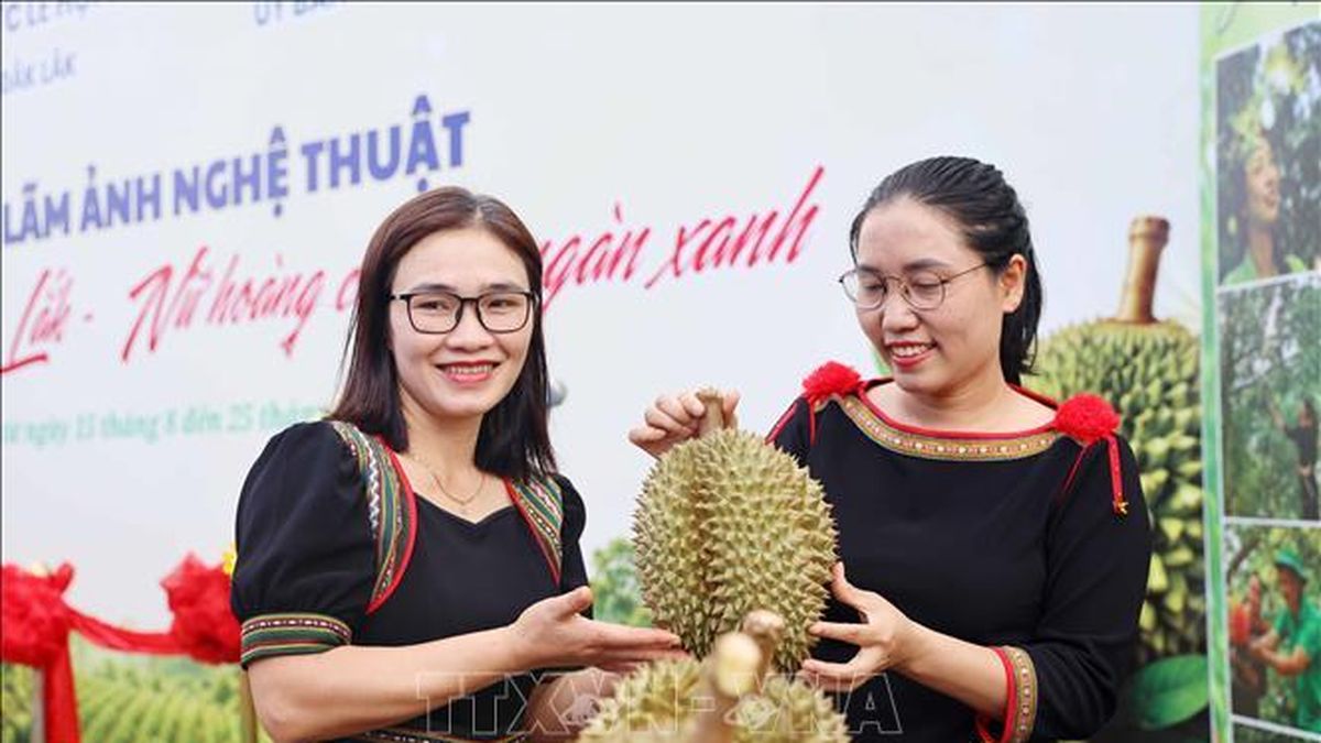 120 tác phẩm góp sức quảng bá thương hiệu sầu riêng Đắk Lắk - Báo Tin Tức TTXVN