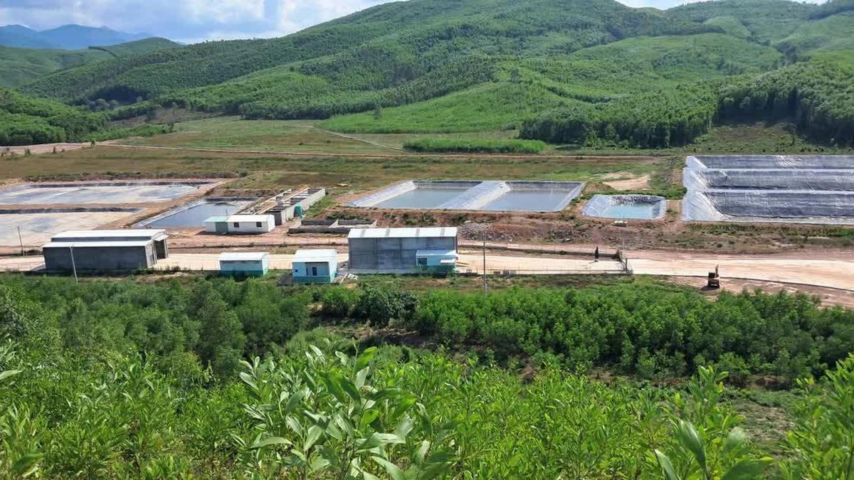 Sau phản ánh của Báo Công an nhân dân, một chủ trại heo bị phạt 180 triệu đồng - Báo Công An Nhân Dân