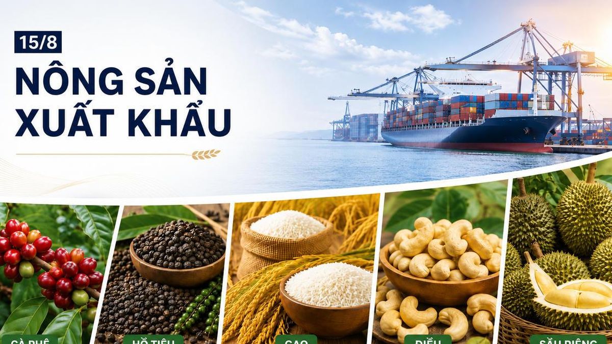 Nông sản xuất khẩu 15/8: Cà phê giảm mạnh, hồ tiêu giữ giá cao - Chuyên Trang Doanh nhân & Công lý - Báo Công Lý