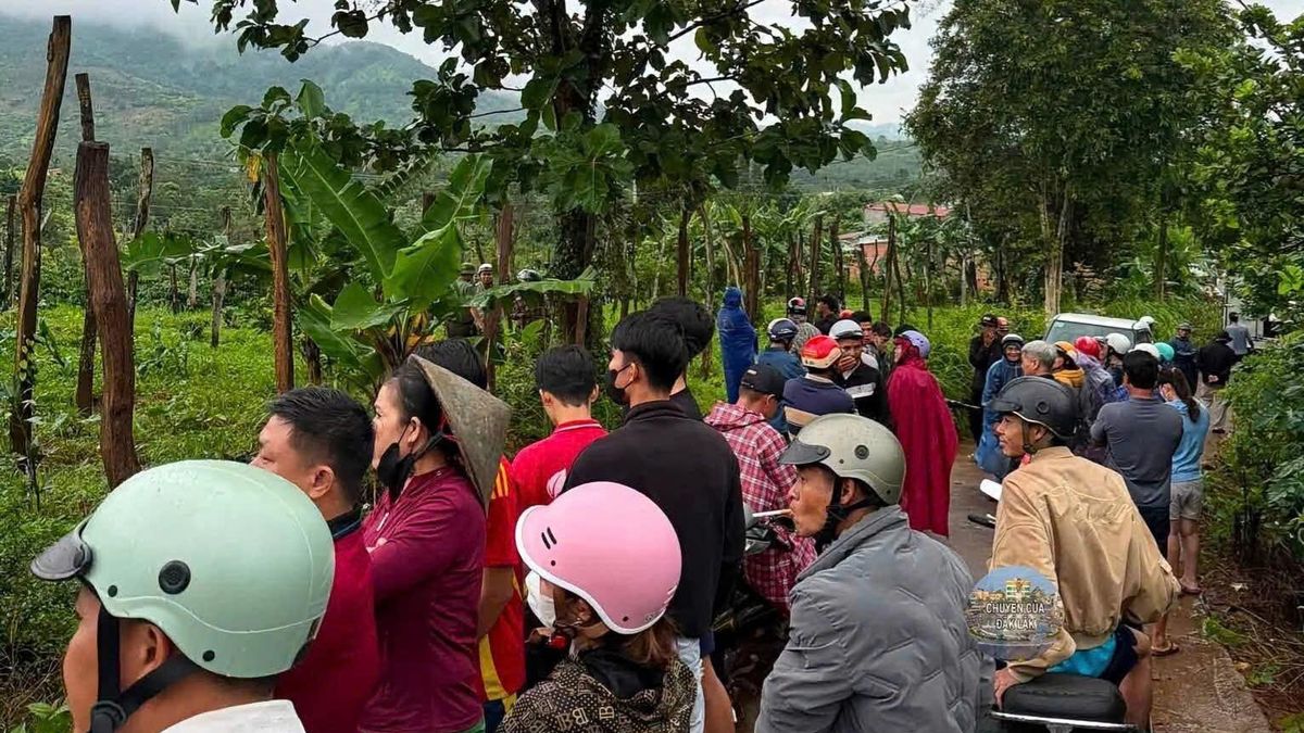 Bắt giam kẻ giết nữ nhân viên thư viện rồi phi tang thi thể ở Đắk Lắk - Báo VTC News