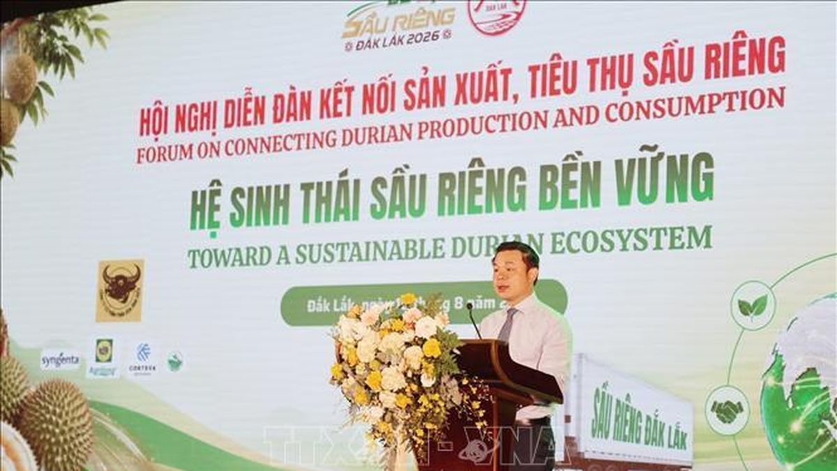 Kết nối sản xuất, tiêu thụ, xây dựng hệ sinh thái sầu riêng bền vững - Báo Quân Đội Nhân Dân