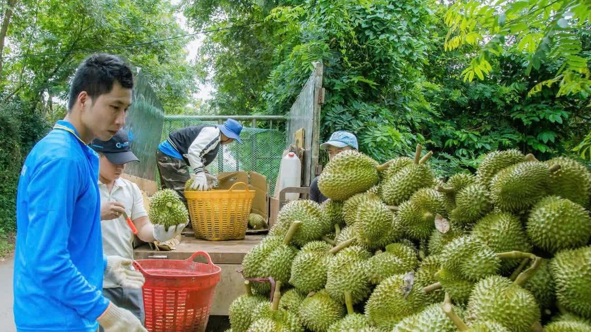 Chính quyền không đứng ngoài cuộc trước những khó khăn của doanh nghiệp và nông dân - Báo Công An Nhân Dân
