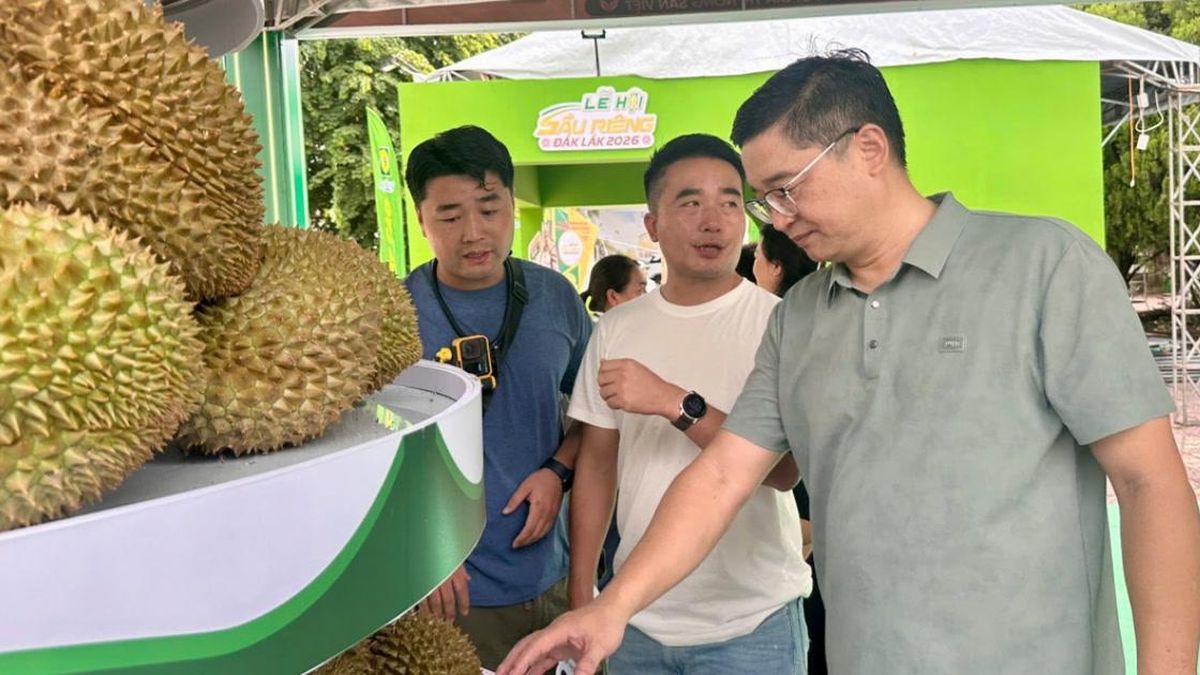 400 gian hàng kết nối ngành hàng sầu riêng Đắk Lắk - Chuyên Trang Doanh nhân & Công lý - Báo Công Lý
