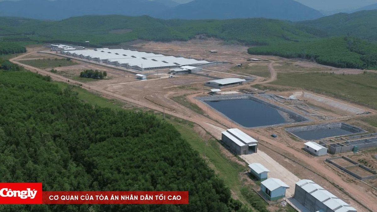 Xử phạt trang trại heo gây ô nhiễm không khí - Báo Công Lý