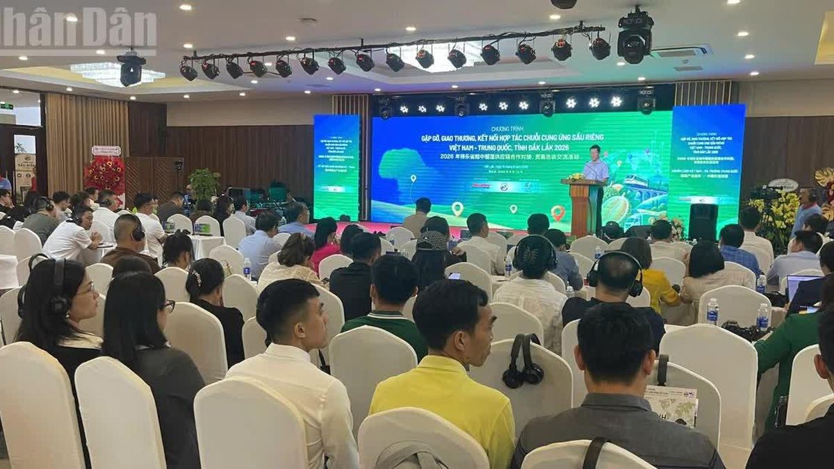 Tăng cường hợp tác nâng cao chuỗi cung ứng và giá trị ngành hàng sầu riêng xuyên biên giới Việt Nam-Trung Quốc - Báo Nhân Dân